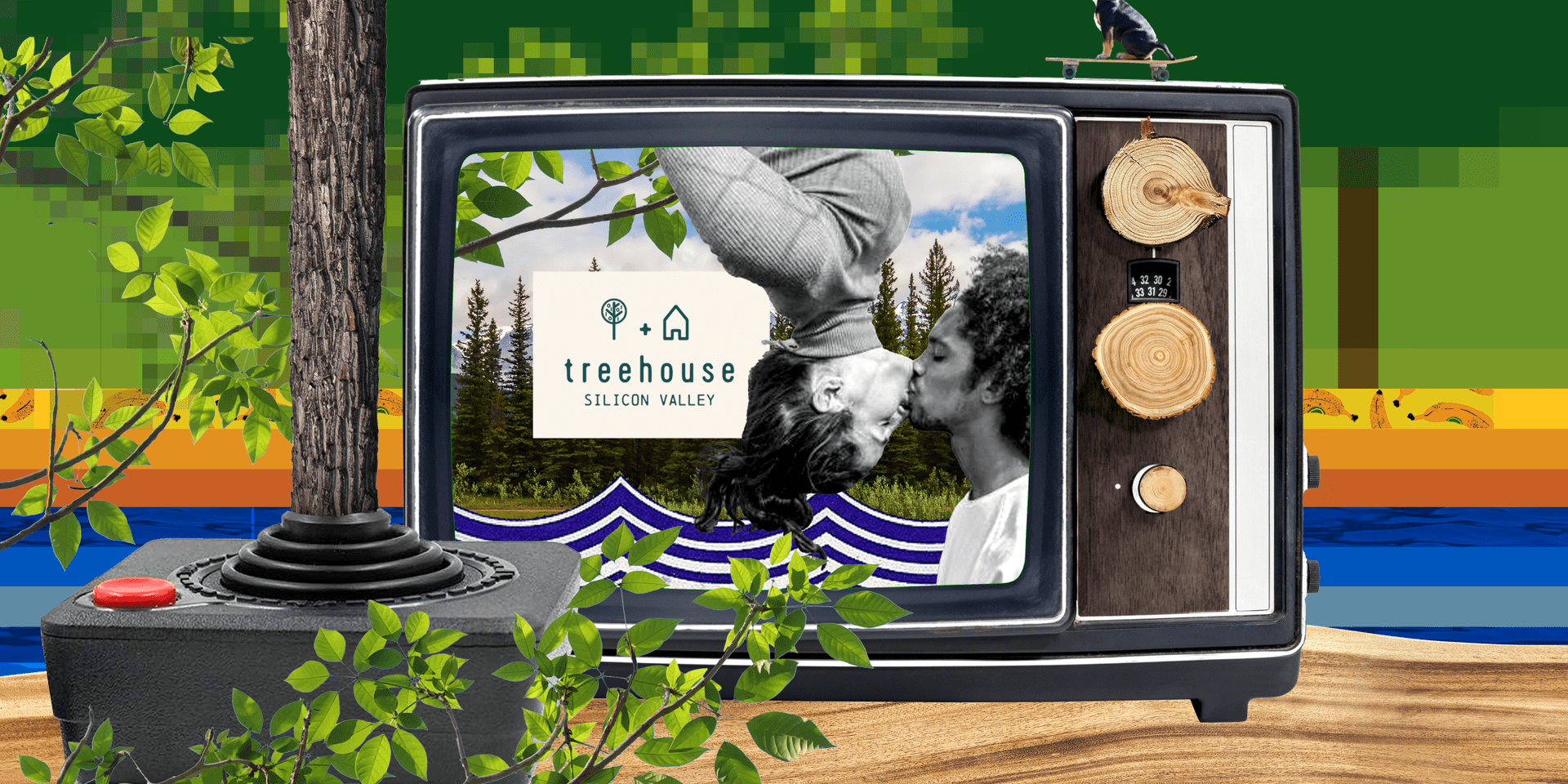 silicon valley collage