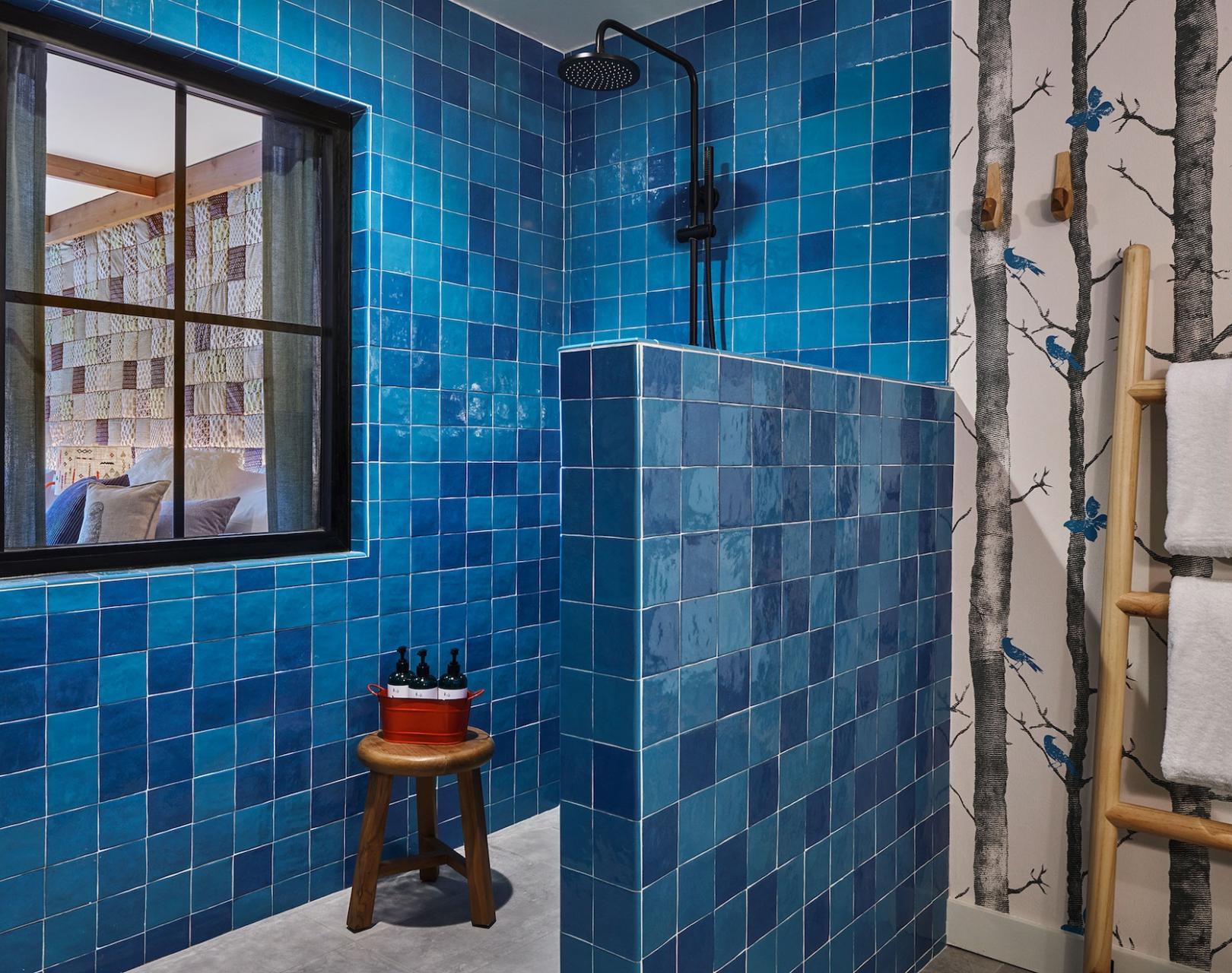 Bathroom with ladder towel rack and walk-in shower