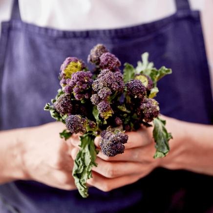 Chef holding fresh produce