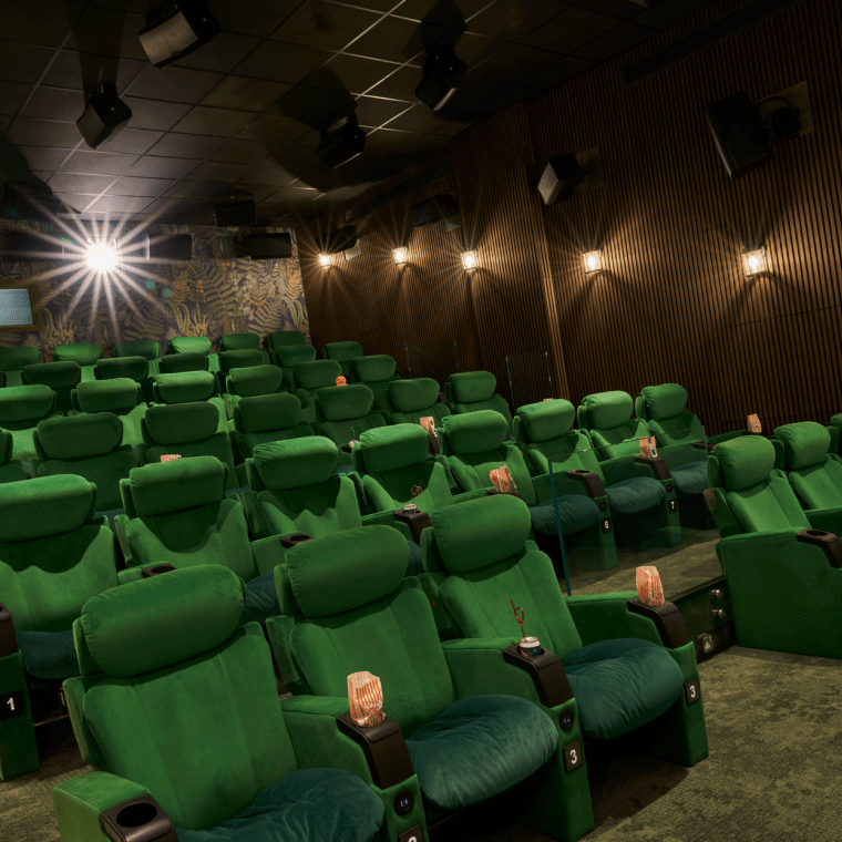 Flix Screening Room