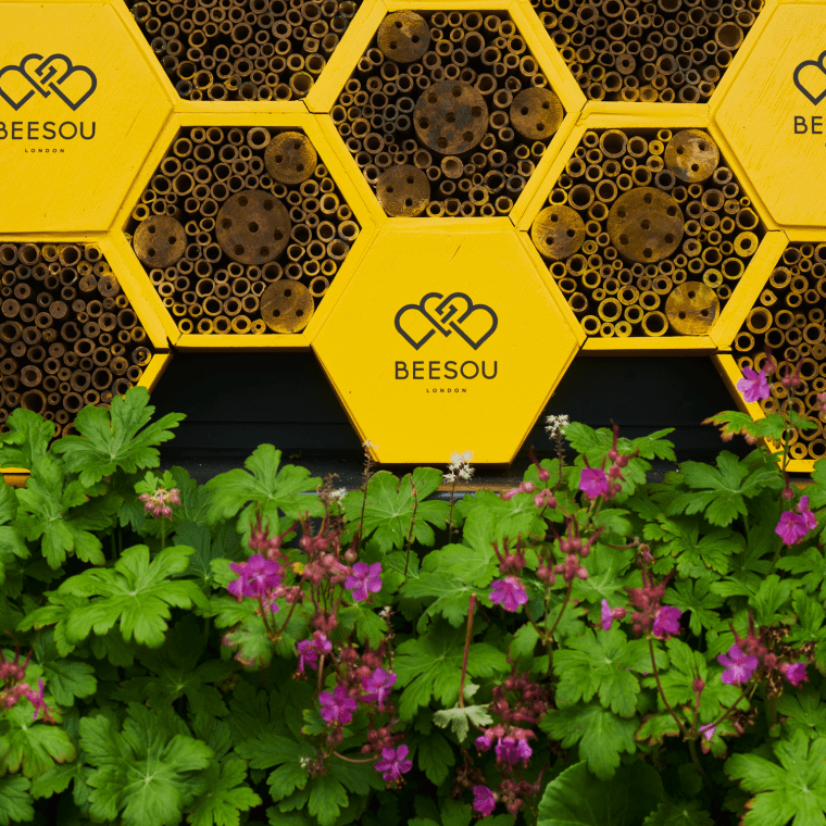 Beesou signage made to look like a honeycomb