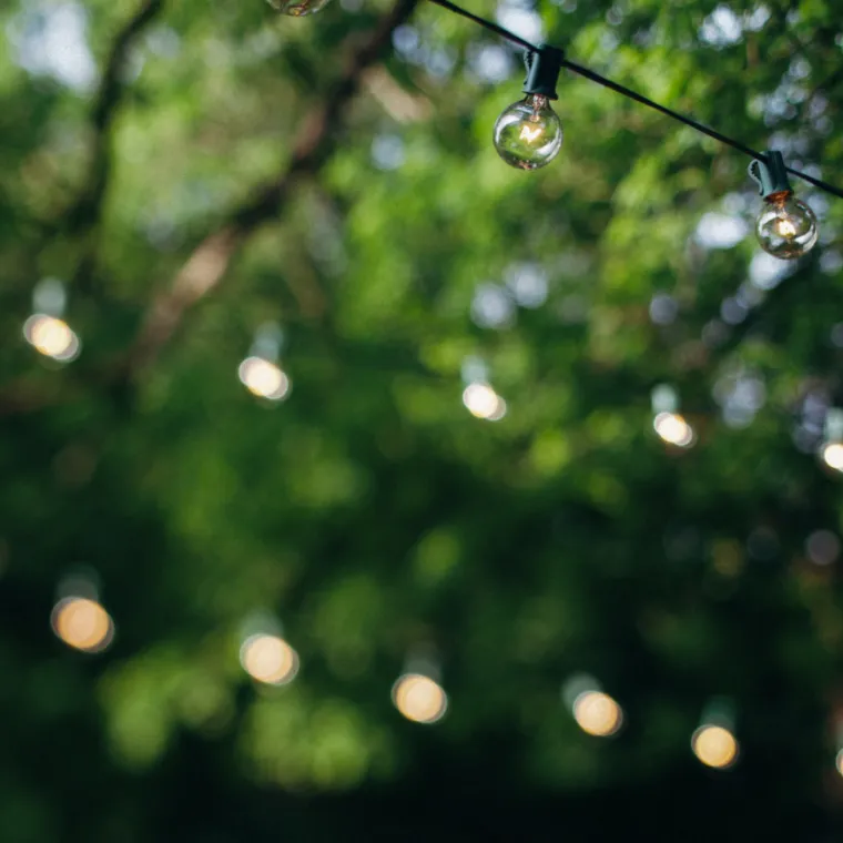 a tree with lights hanging across