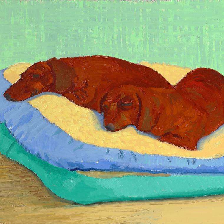 David Hockney"Dog Painting 19" 1995Oil on canvas18 1/4 x 25 3/4"© David HockneyPhoto Credit: Richard SchmidtCollection The David Hockney Foundation