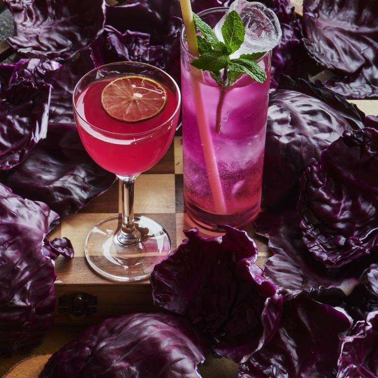 2 drinks surrounded by purple cabbage as garnish
